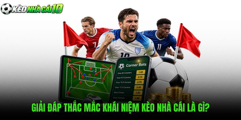 Hướng dẫn cách đọc tỷ lệ kèo nhà cái chuẩn xác