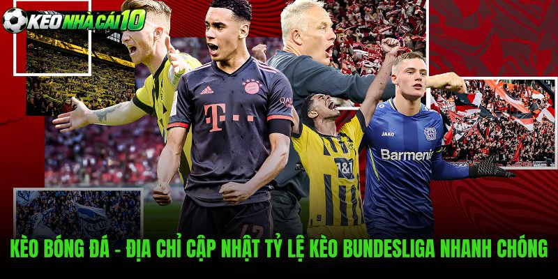 Bảng kèo Bundesliga cập nhật liên tục trước giờ bóng lăn
